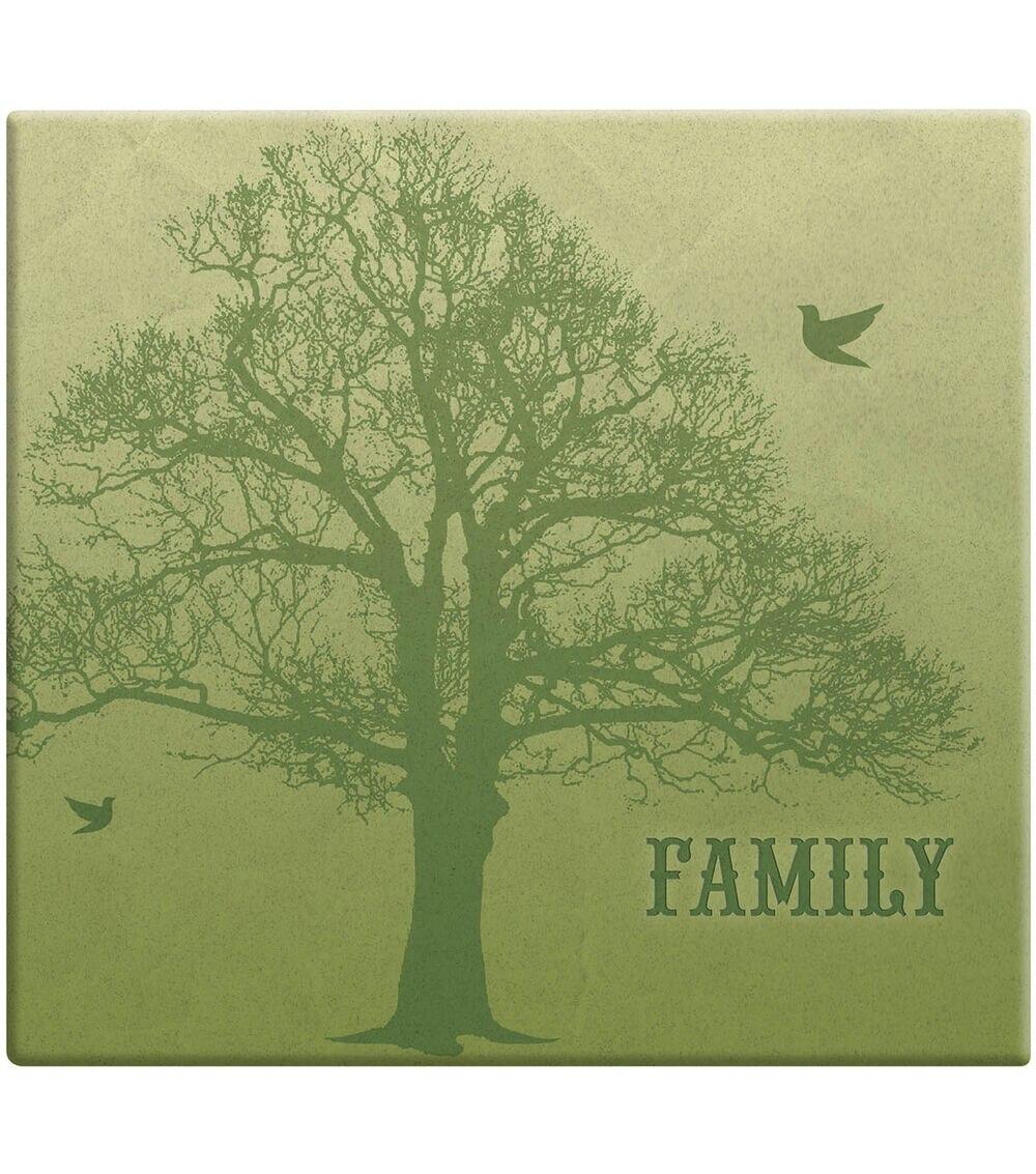 Albums | MBI 12”x12” Post Bound Scrapbook Album with Name Window Family Tree Albums Albums