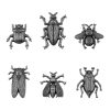 Embellishments & Stickers | Entomology 5ct Nickel Bug Adornments Embellishments & Stickers Embellishments & Stickers