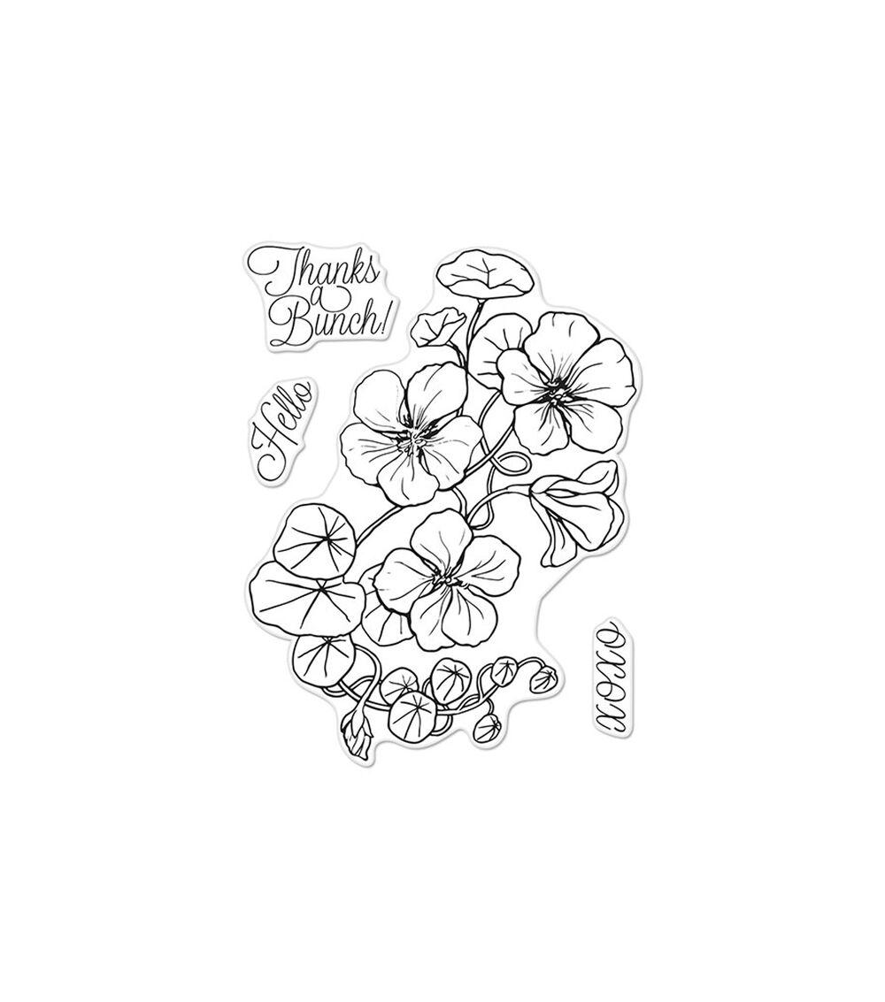 Stamping | Clear Stamp Set Florals Nasturtium Paper Crafts & Scrapbooking Stamping